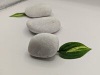 Διακοσμητικής