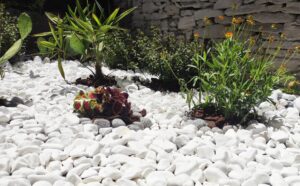 Βότσαλο Άσπρο Θάσου 4