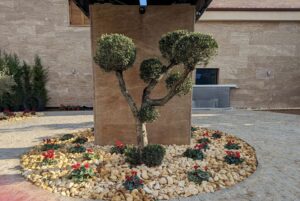 Βότσαλο Κίτρινο 3