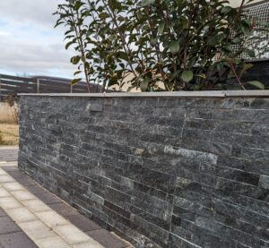 Πάνελ Shining-Dark 2